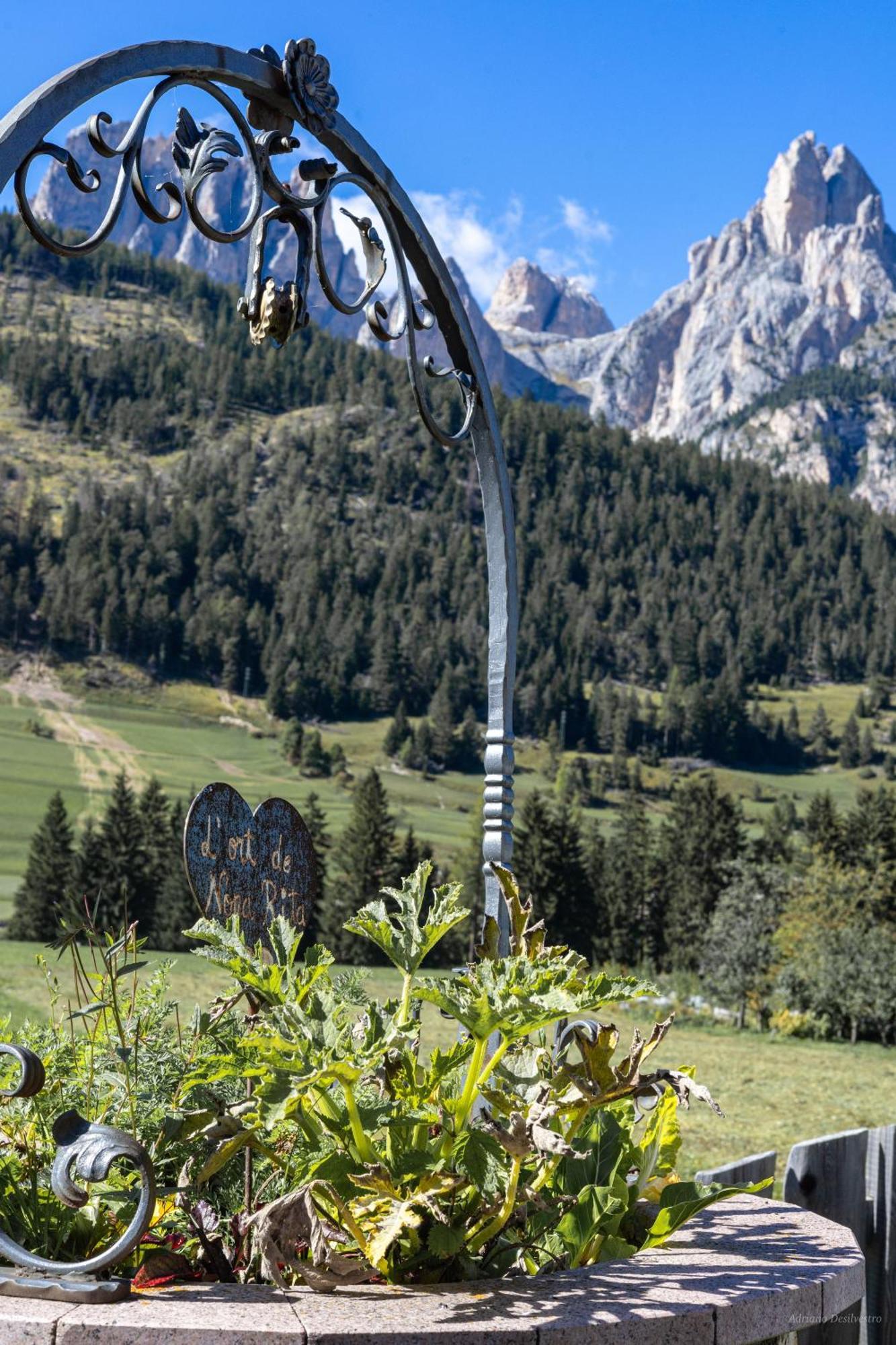 Majon De La Nona Hotel Pozza di Fassa Eksteriør billede