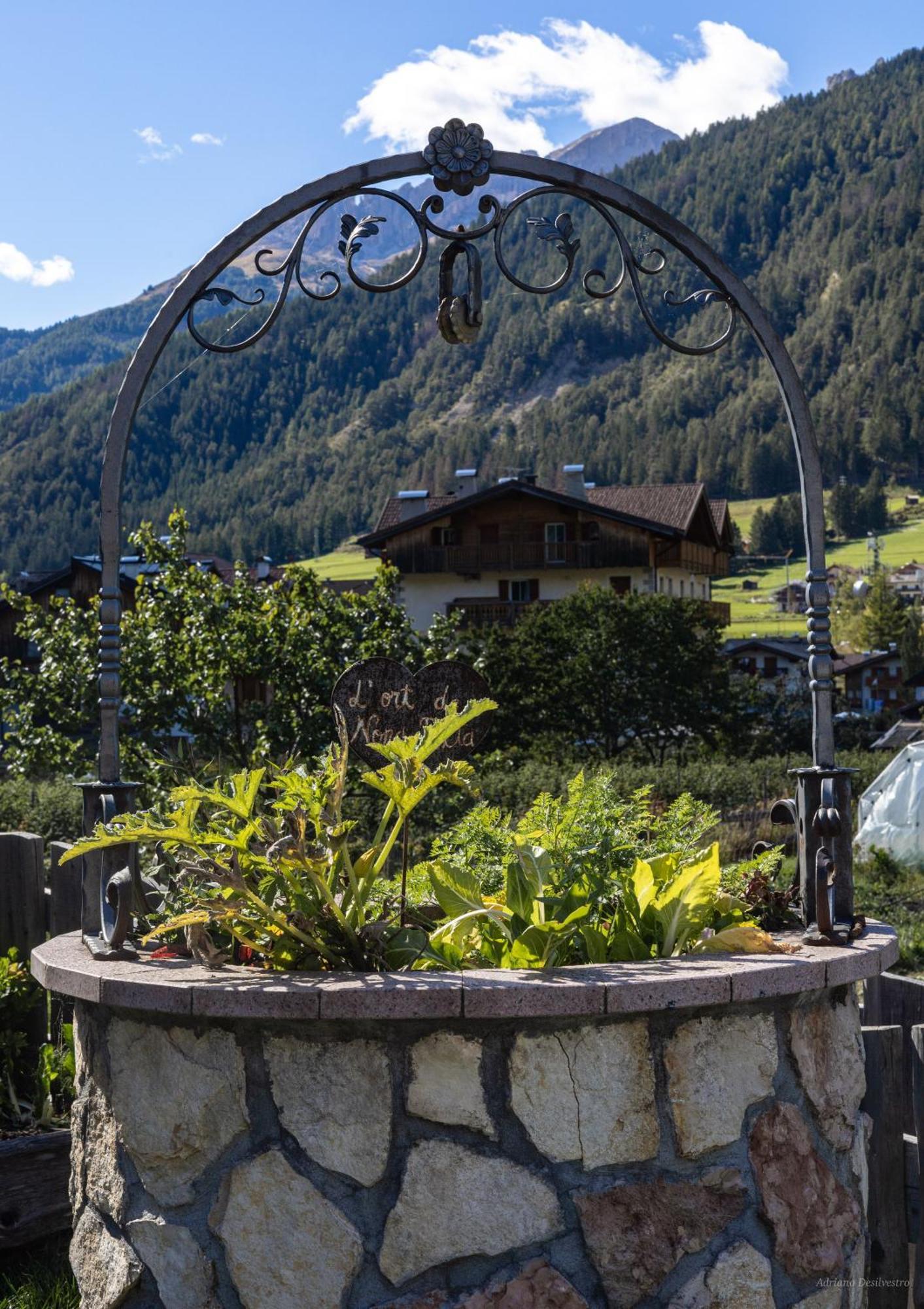 Majon De La Nona Hotel Pozza di Fassa Eksteriør billede