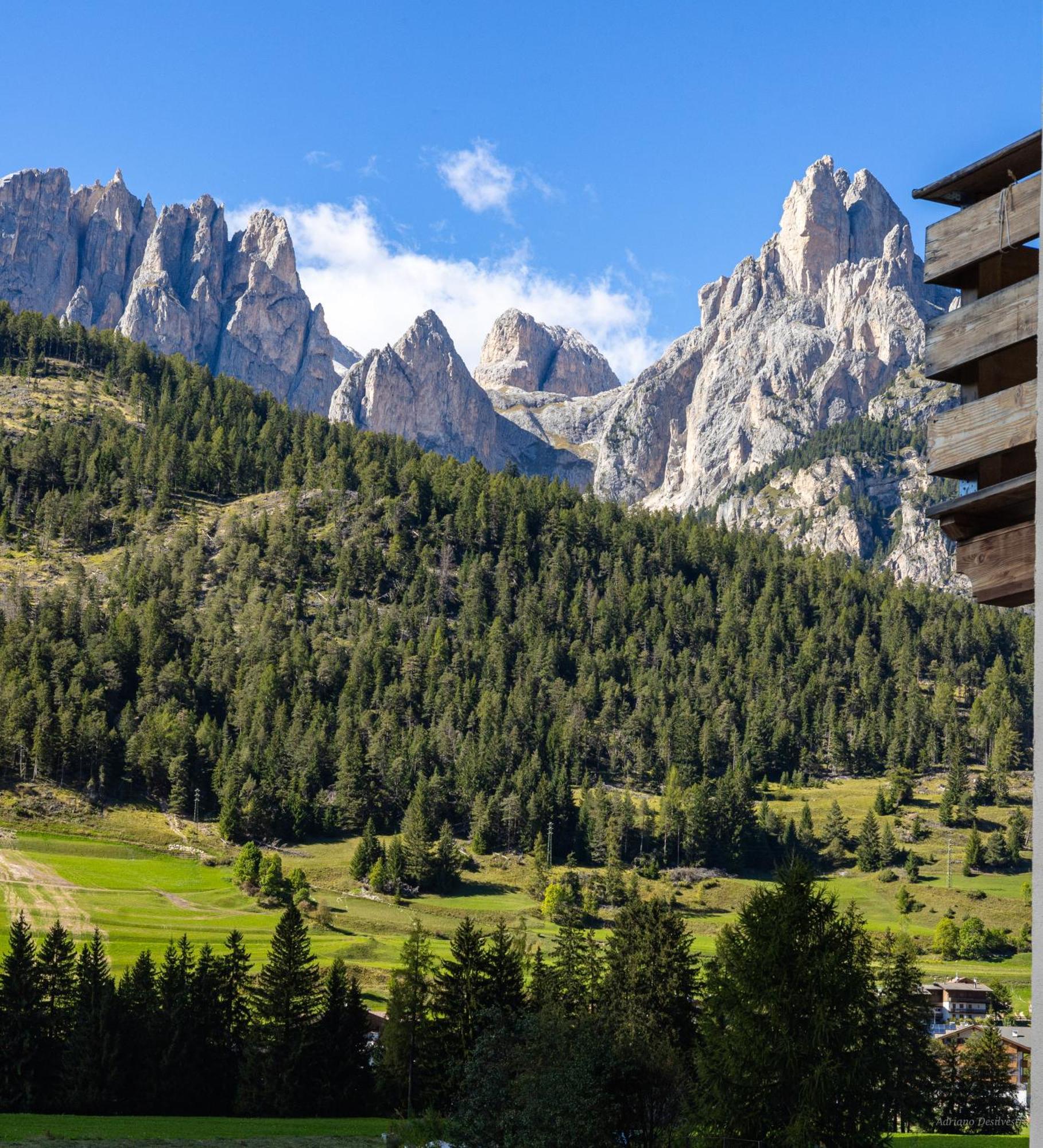 Majon De La Nona Hotel Pozza di Fassa Eksteriør billede