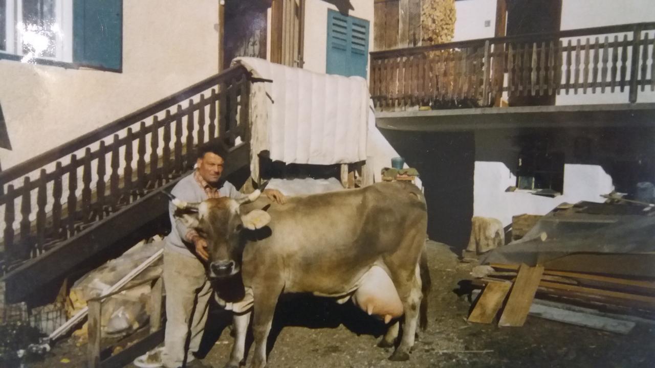 Majon De La Nona Hotel Pozza di Fassa Eksteriør billede